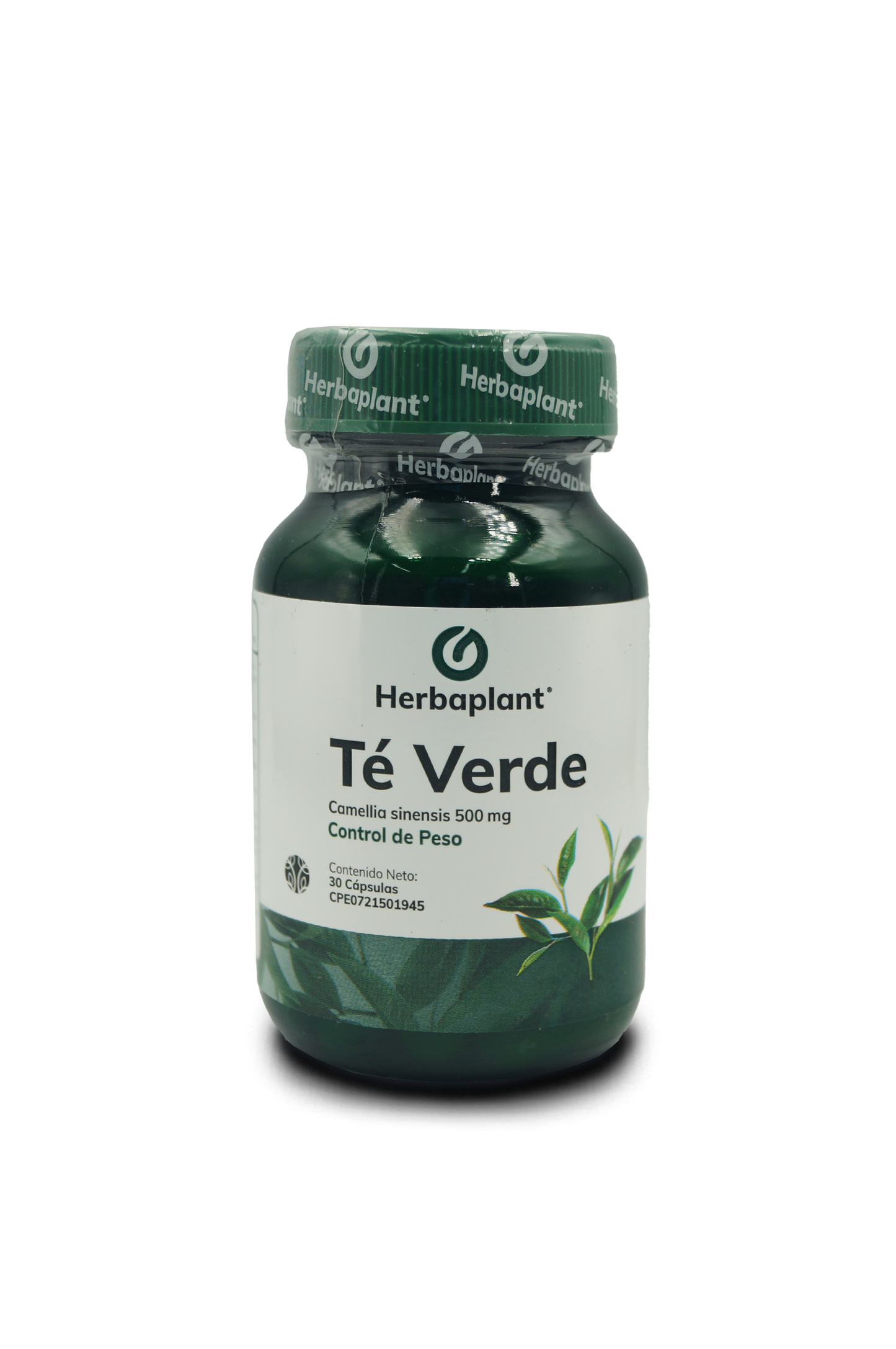 Té verde (Camellia sinensis) 500mg 30 cápsulas